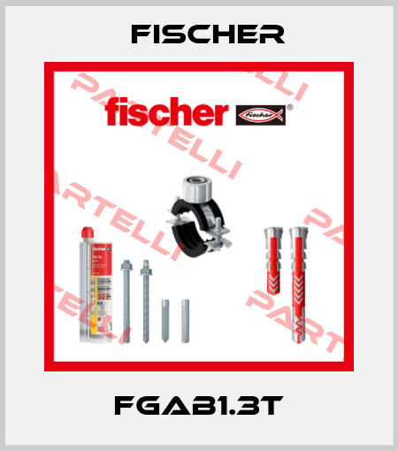 FGAB1.3T Fischer