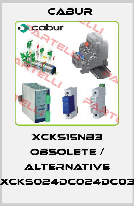 XCKS15NB3 obsolete / alternative XCKS024DC024DC03 Cabur
