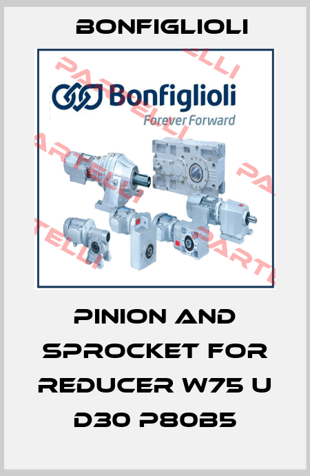 PINION AND SPROCKET FOR REDUCER W75 U D30 P80B5 Bonfiglioli