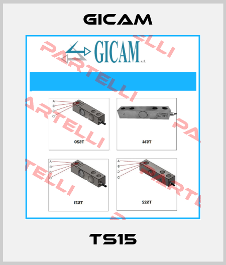 TS15 Gicam