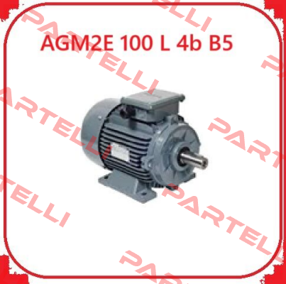 AGM2E 100 L 4b B5 Gamak
