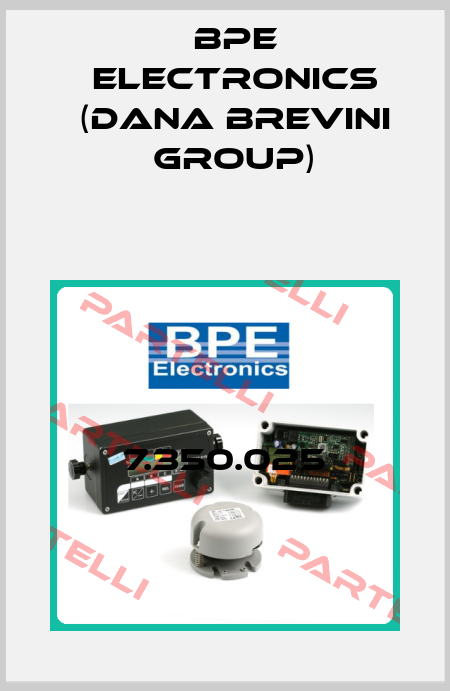 7.350.025 BPE Electronics (Dana Brevini Group)