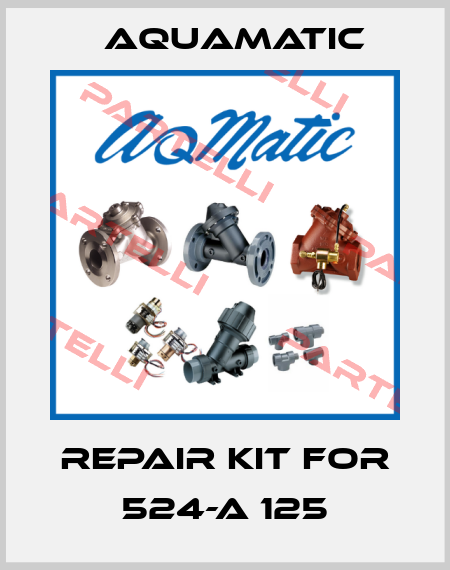 Repair kit for 524-A 125 AquaMatic