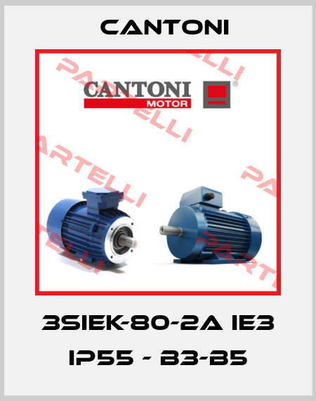 3SIEK-80-2A IE3 IP55 - B3-B5 Cantoni