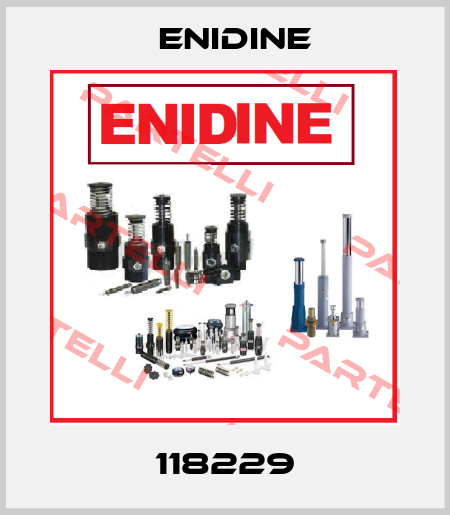 118229 Enidine