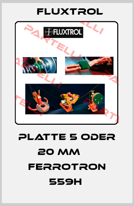 PLATTE 5 ODER 20 MM      FERROTRON 559H  Fluxtrol