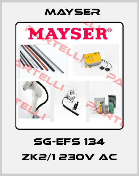 SG-EFS 134 ZK2/1 230V AC Mayser