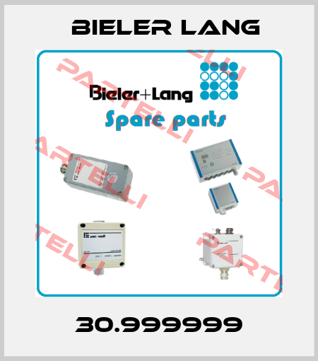 30.999999 Bieler Lang
