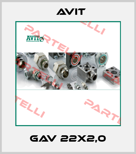 GAV 22x2,0 Avit