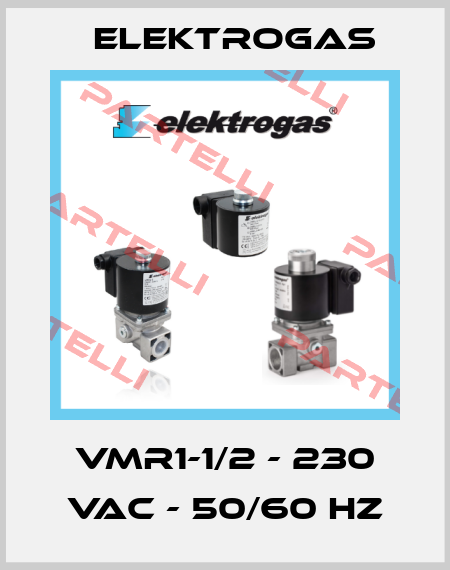 VMR1-1/2 - 230 VAC - 50/60 HZ Elektrogas