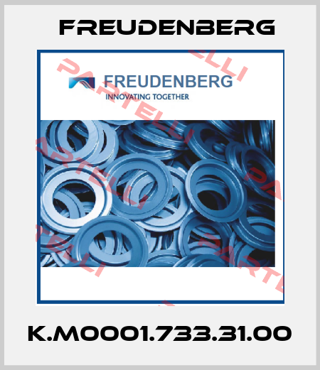 K.M0001.733.31.00 Freudenberg