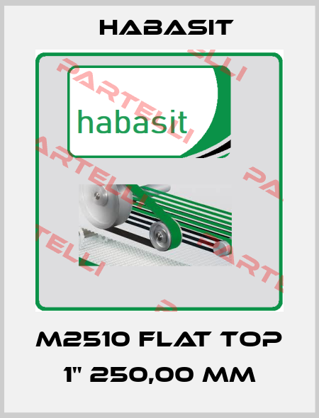 M2510 Flat Top 1" 250,00 mm Habasit