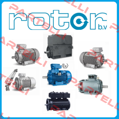 5RN100L04 Rotor