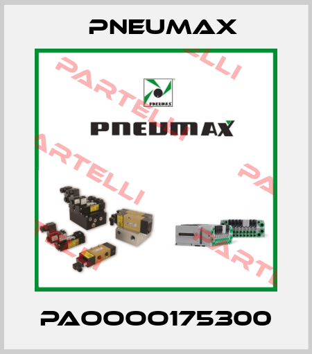 PAOOOO175300 Pneumax