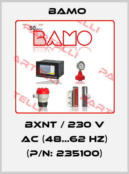 BXNT / 230 V AC (48...62 Hz) (P/N: 235100) Bamo