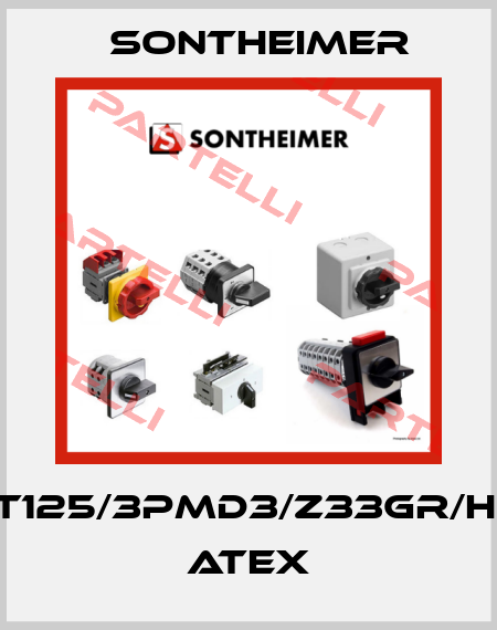 RLT125/3PMD3/Z33GR/HV11 ATEX Sontheimer