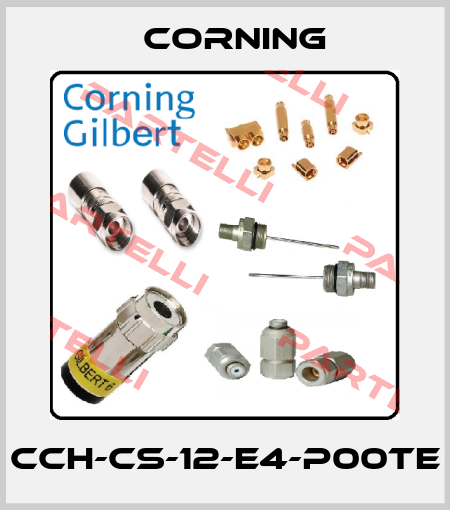 CCH-CS-12-E4-P00TE Corning