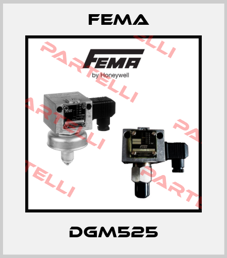 DGM525 FEMA