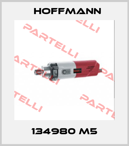 134980 M5 Hoffmann