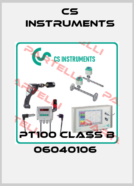 PT100 Class B 06040106  Cs Instruments