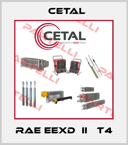 RAE EExd  IIС T4 Cetal