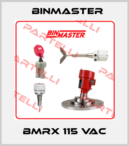 BMRX 115 VAC BinMaster