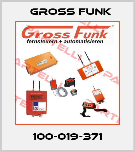 100-019-371 Gross Funk
