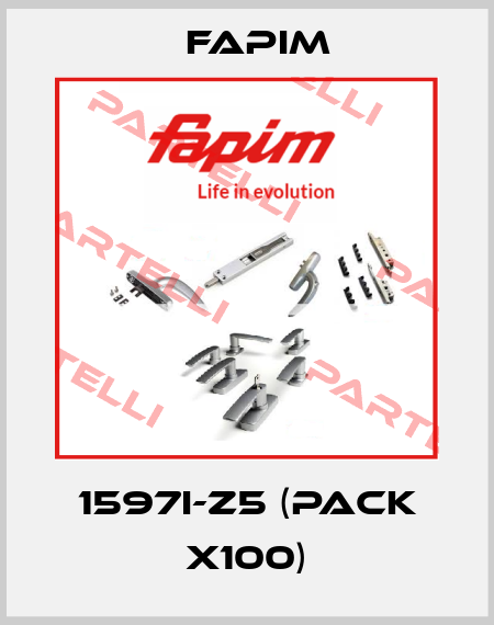 1597I-Z5 (pack x100) Fapim