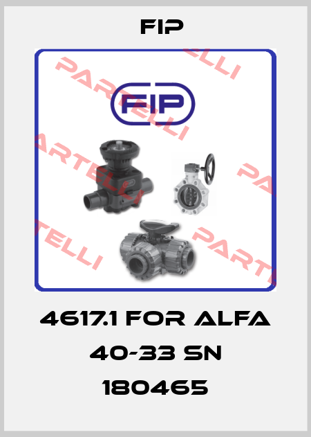 4617.1 for Alfa 40-33 SN 180465 Fip