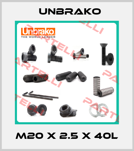 M20 X 2.5 X 40L Unbrako