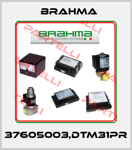 37605003,DTM31PR Brahma
