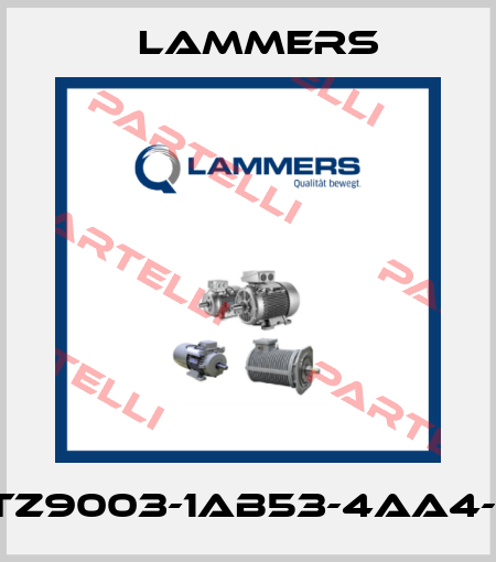 1TZ9003-1AB53-4AA4-Z Lammers