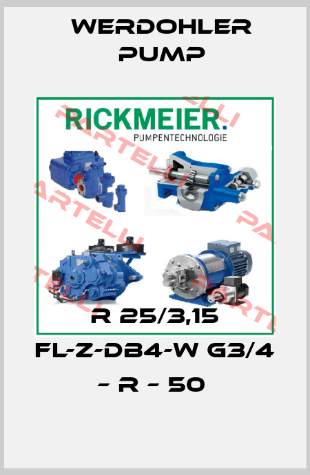 R 25/3,15 FL-Z-DB4-W G3/4 – R – 50  Werdohler Pump