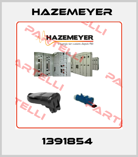 1391854  Hazemeyer