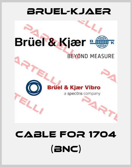 Cable for 1704 (BNC) Bruel-Kjaer