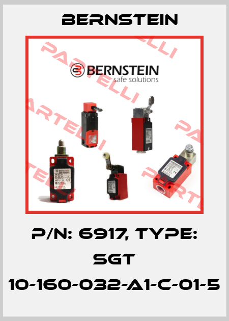 P/N: 6917, Type: SGT 10-160-032-A1-C-01-5 Bernstein