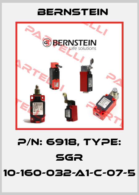 P/N: 6918, Type: SGR 10-160-032-A1-C-07-5 Bernstein