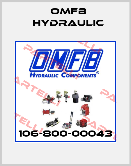 106-800-00043 OMFB Hydraulic