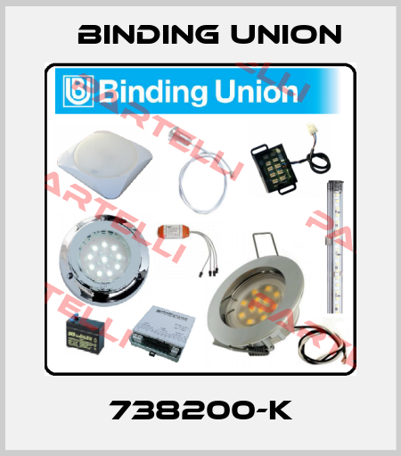 738200-K Binding Union