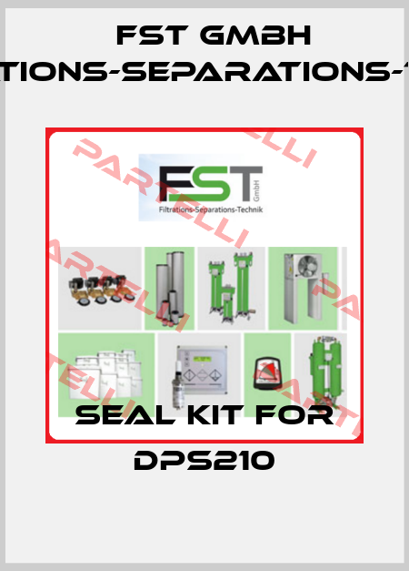 Seal kit for DPS210 FST GmbH Filtrations-Separations-Technik