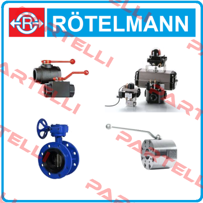 Seal kit for 419372 Rotelmann