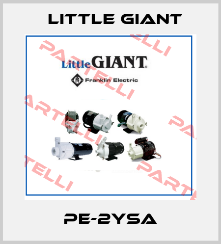 PE-2YSA Little Giant