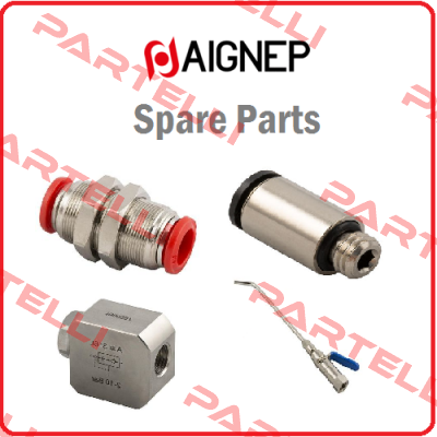 G1/4 - 3025-1/4R Aignep