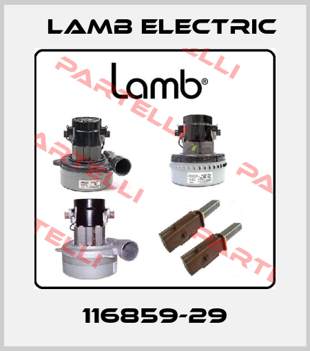 116859-29 Lamb Electric