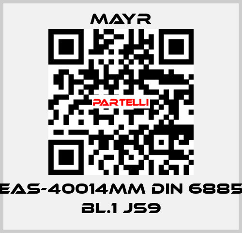 EAS-40014MM DIN 6885 BL.1 JS9 Mayr