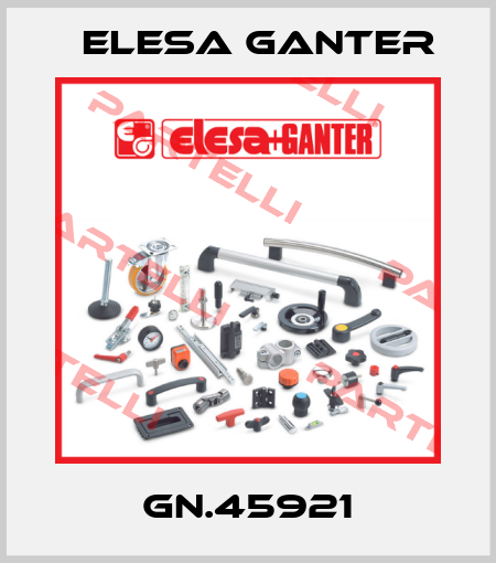 GN.45921 Elesa Ganter
