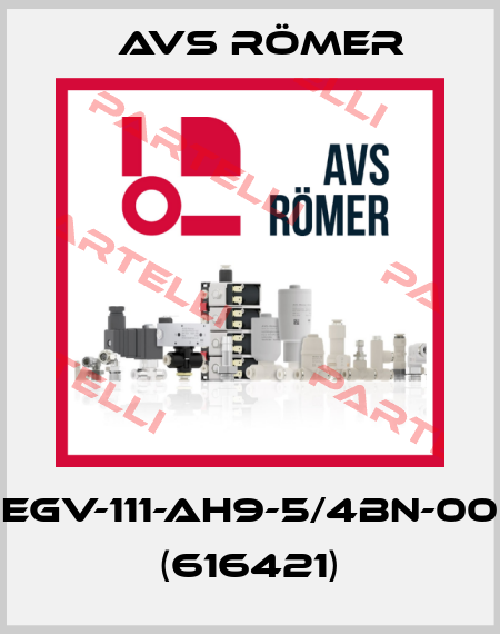 EGV-111-AH9-5/4BN-00 (616421) Avs Römer