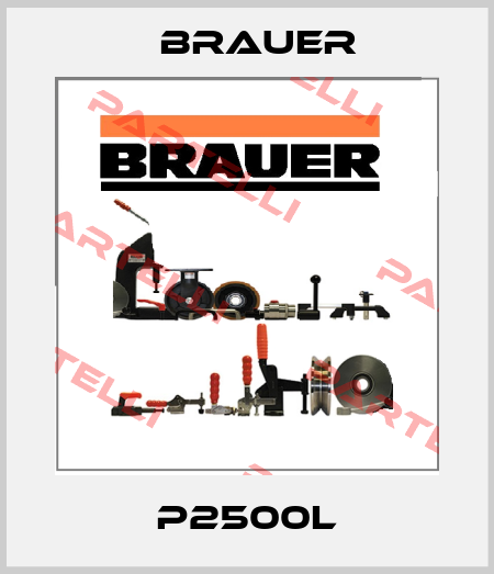 P2500L Brauer