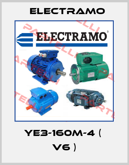 YE3-160M-4 (  V6 ) Electramo