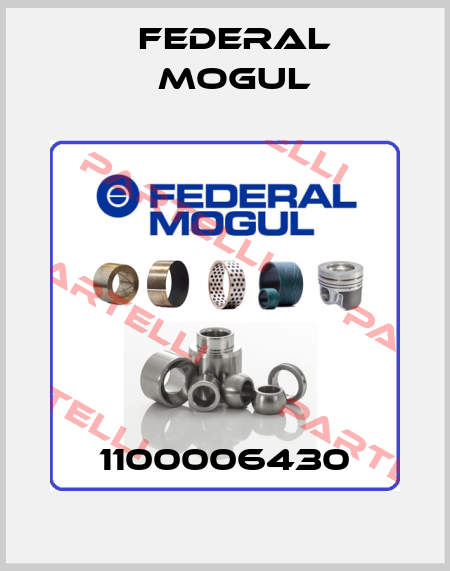 1100006430 Federal Mogul